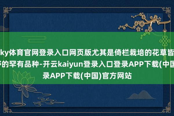 ky体育官网登录入口网页版尤其是倚栏栽培的花草皆是极为荒野的罕有品种-开云kaiyun登录入口登录APP下载(中国)官方网站