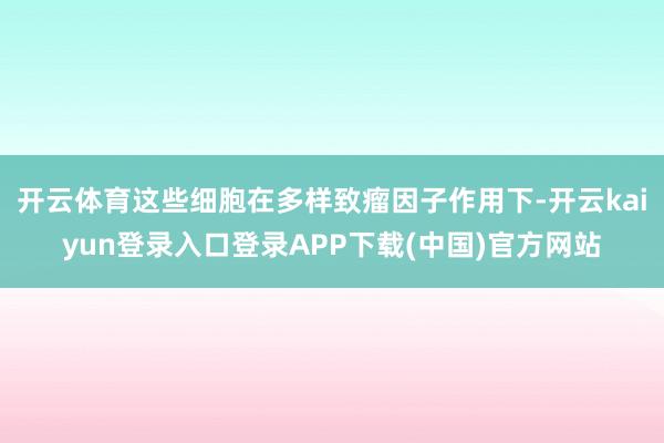 开云体育这些细胞在多样致瘤因子作用下-开云kaiyun登录入口登录APP下载(中国)官方网站