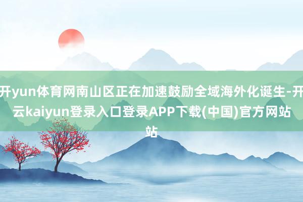 开yun体育网南山区正在加速鼓励全域海外化诞生-开云kaiyun登录入口登录APP下载(中国)官方网站