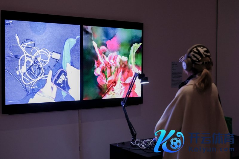 “跨越六十年：东说念主工智能的创意之火”展出30位/组艺术家的作品