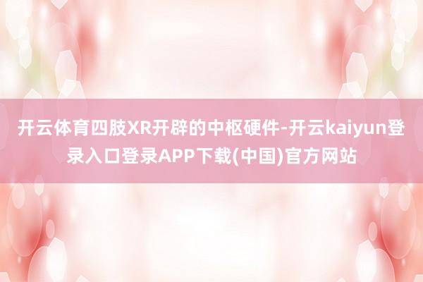 开云体育四肢XR开辟的中枢硬件-开云kaiyun登录入口登录APP下载(中国)官方网站