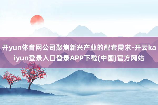 开yun体育网公司聚焦新兴产业的配套需求-开云kaiyun登录入口登录APP下载(中国)官方网站