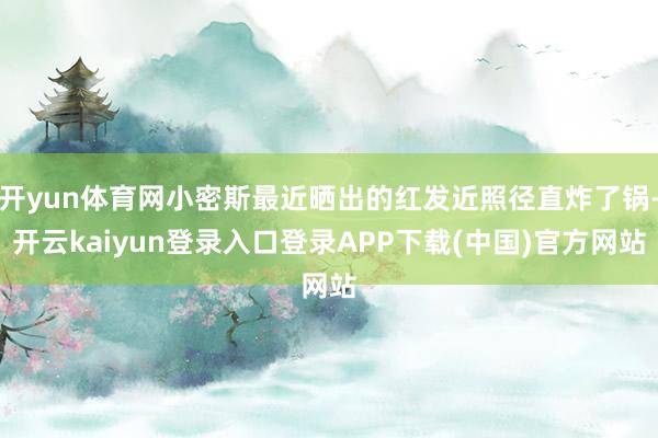 开yun体育网小密斯最近晒出的红发近照径直炸了锅-开云kaiyun登录入口登录APP下载(中国)官方网站
