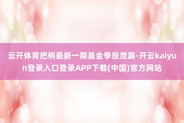 云开体育把柄最新一期基金季报泄漏-开云kaiyun登录入口登录APP下载(中国)官方网站