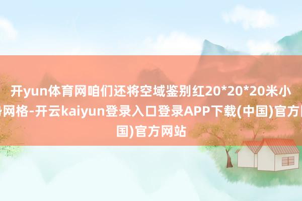开yun体育网咱们还将空域鉴别红20*20*20米小阵势网格-开云kaiyun登录入口登录APP下载(中国)官方网站