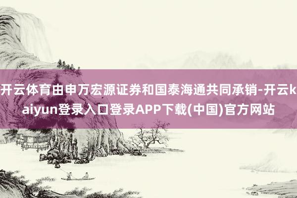 开云体育由申万宏源证券和国泰海通共同承销-开云kaiyun登录入口登录APP下载(中国)官方网站