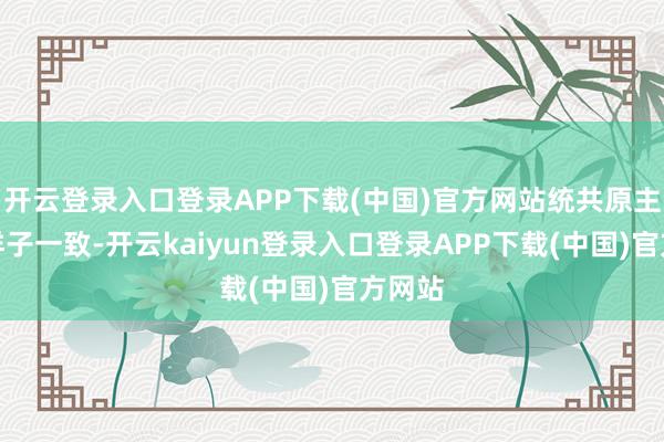 开云登录入口登录APP下载(中国)官方网站统共原主与她样子一致-开云kaiyun登录入口登录APP下载(中国)官方网站