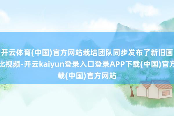 开云体育(中国)官方网站栽培团队同步发布了新旧画濒临比视频-开云kaiyun登录入口登录APP下载(中国)官方网站