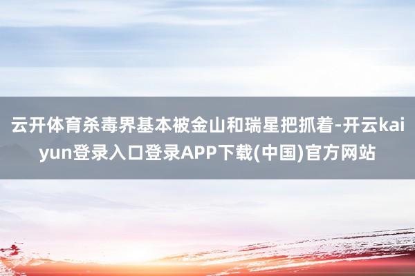 云开体育杀毒界基本被金山和瑞星把抓着-开云kaiyun登录入口登录APP下载(中国)官方网站